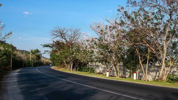 Tuyen duong ven bien chay tu vung tau den long hai phan thiet