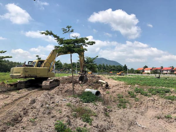 Theo So tai nguyen Moi truong tinh Ba ria Vung Tau, hien tren dia ban tinh nay co den 196 truong hop phan lo ban nen trai phep