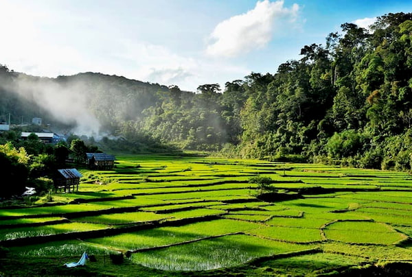 Khu du lich sinh thai Mang Den duoc vi nhu Da Lat thu hai