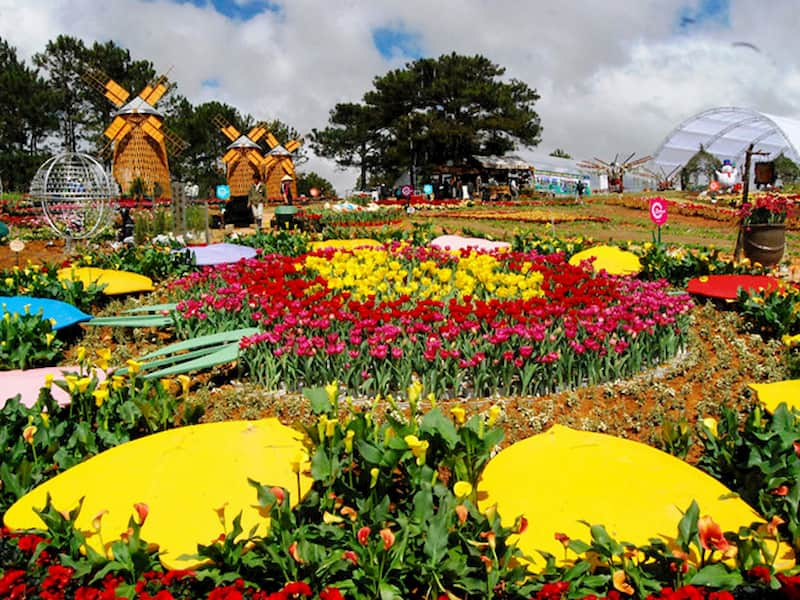 Festival hoa Da Lat dien ra 2 nam mot lan