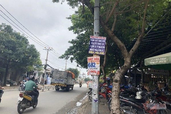 Doc tuyen duong Duong Thi Muoi, Quan 12 nhan nhan cac bien quang cao dat nen